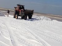 deicing rock and sea salt 