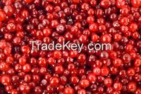 Fresh Wild Cranberries