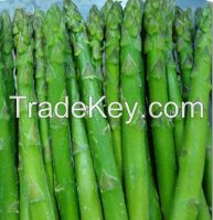 https://www.tradekey.com/product_view/Iqf-Green-Asparagus-7190581.html