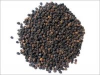 500-550g/l turkish Black Pepper for sale