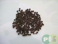 BLACK PEPPER BERRY BROWN LABEL - GRADE 1