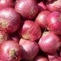 https://jp.tradekey.com/product_view/Bangalore-Rose-Onion-7157293.html