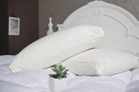 Double Edged Feather Pillow