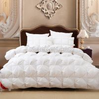 NEW STYLE FASHION GOOSE DOWN QUILT