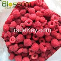 Fresh fruit grade A class 1 wholesale market price for frozen natural raspberry