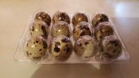 quail eggs