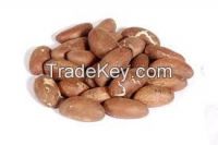 Bitter kola Nut (Gracinia Nut)