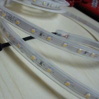 3528 5050 LED Strip Light Low Voltage Waterproof