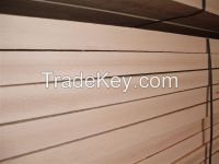 beech lumber/logs for sale