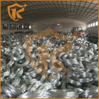 China low price electro galvanized iron binding wire