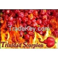 Trinidad Scorpion Oven Dried Chili Pepper Pods