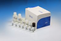 Dynamiker Aspergillus fumigatus IgG Assay