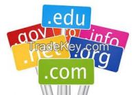 Domain Name