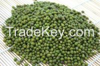 Chinese Green Mung bean