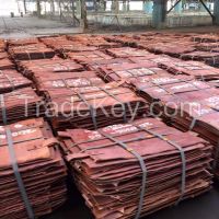 Copper Cathode