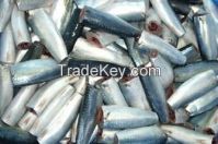 offer pacific mackerel HGT