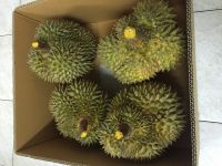 Durian (Mon Thong)