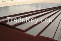 BLMA 18mm Poplar Phenolic Brown/Black Film Faced Plywood Sheets with Good Price