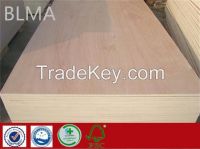 BLMA-10 9mm Boards Plywood Type and Outdoor Usage Plywood of All Kinds