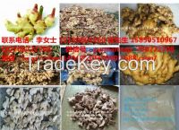 dried ginger block