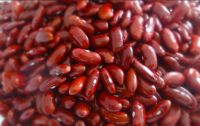 Red Kidney Bean from Thailand