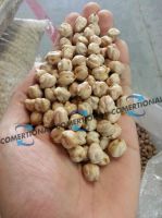 https://ar.tradekey.com/product_view/Blanco-Sinaloa-Chickpeas-Cif-Jeddah-Port-7223423.html