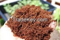 Coco Peat (Powder) from Vietnam