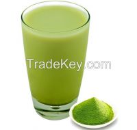 Green Matcha Milk Tea