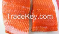 Atlantic Salmon & Trout