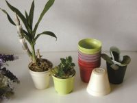 Transplanting flowerpot (Rapid and degradable material)ãFlowerpot 