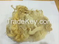 Raw Sheep Wool