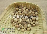 https://www.tradekey.com/product_view/Amomum-Cardamomum-amomun-Kravanh-7331776.html