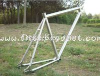 Titanium Track Bicycle Frame for Belt Drive