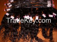 Top Quality 100% Virgin Brazilian Human Hair (Free Shipping )