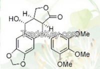 Picropodophyllotoxin