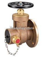 Dry Riser Landing Valve with Flange