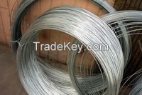 Galvanized Wire