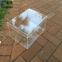Hot sale plexiglass clear acrylic shoe box