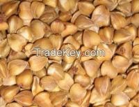 https://fr.tradekey.com/product_view/Buck-Wheat-Groats-Bulgar-Wheat-Oats-7271701.html