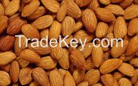 Best Quality Raw Dried bitter/sweet Almonds Nuts 