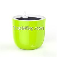 Self-Watering Planters T02