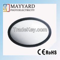 LED ceiling light oval shape 12W