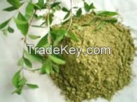 Henna Powder