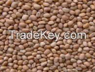 Cow peas Type 1