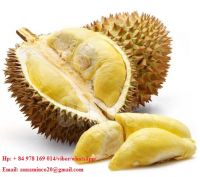 Fresh Durian Fruit Whatsapp 0084935027124