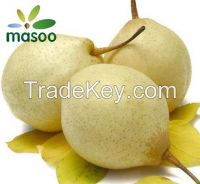 Cheap High Quality Fresh Ya Pears from North of China (Wholesale)