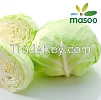 https://es.tradekey.com/product_view/Cheap-High-Quality-Fresh-Cabbage-From-Hebei-china-wholesale--7287590.html