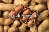 Raw Peanuts