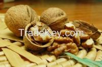 walnut kernel, pumpkin seeds