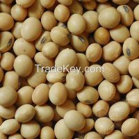 Want to sell soybeans